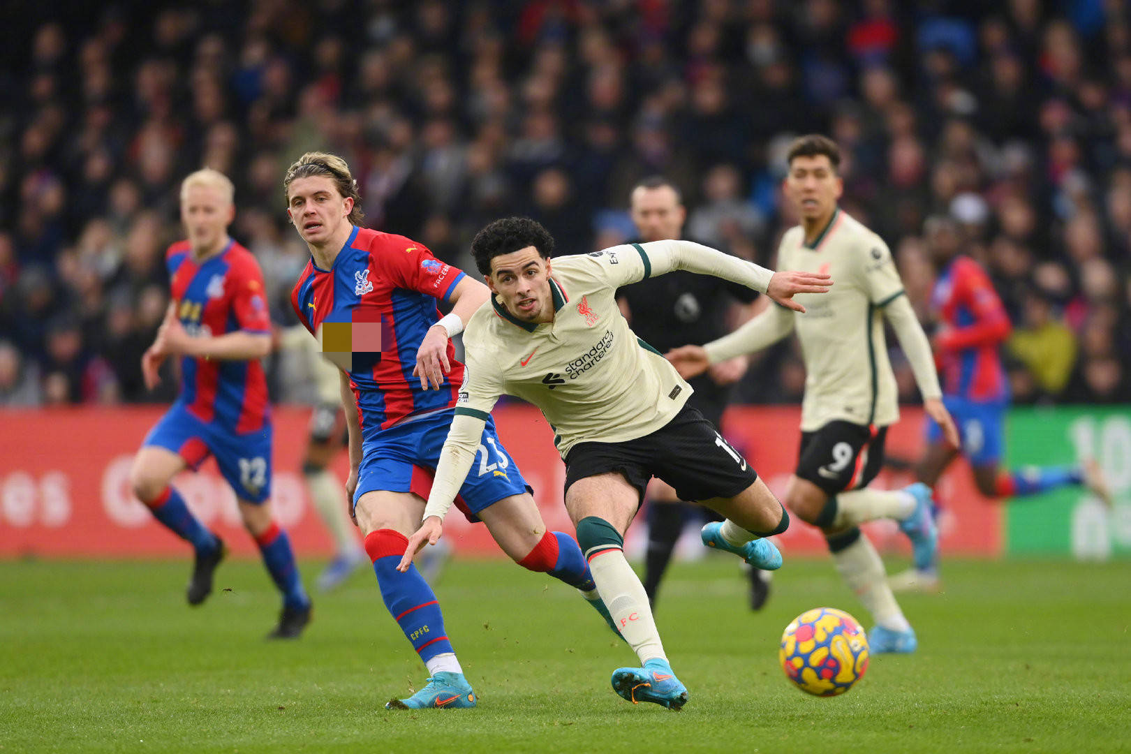 新月这个沙 新月这个沙